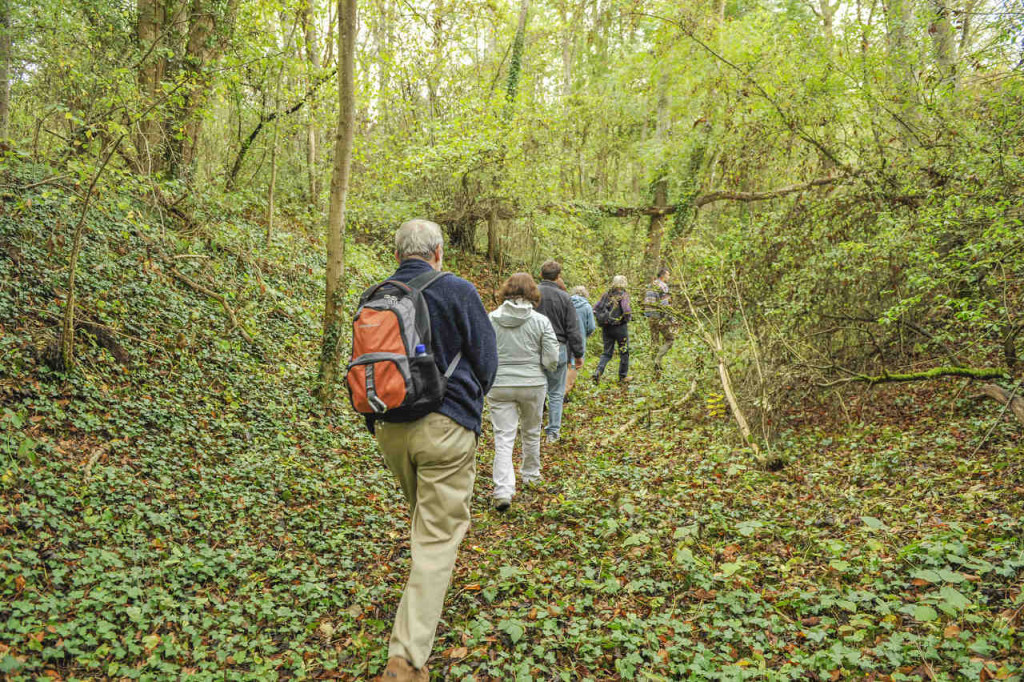 Walking through the quarry at Bercheres-les-Pierres by Jill Geoffrion, photographer